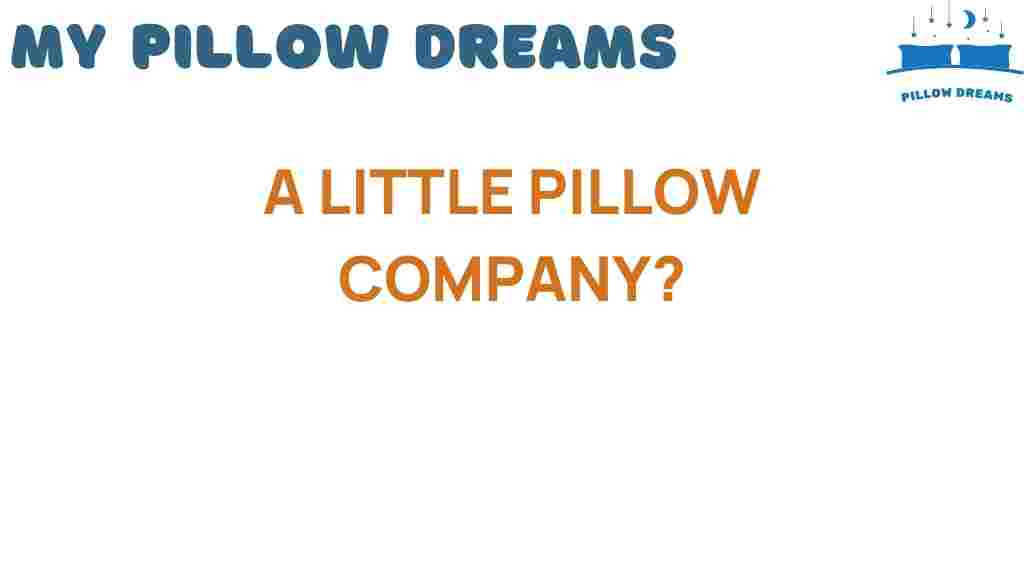 a-little-pillow-company