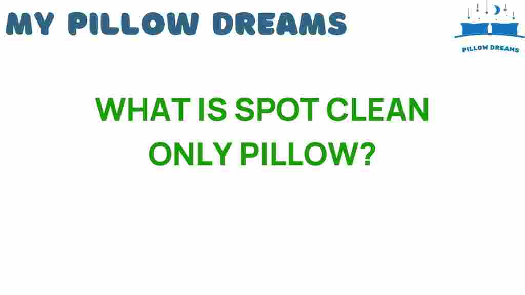 what-is-spot-clean-only-pillow