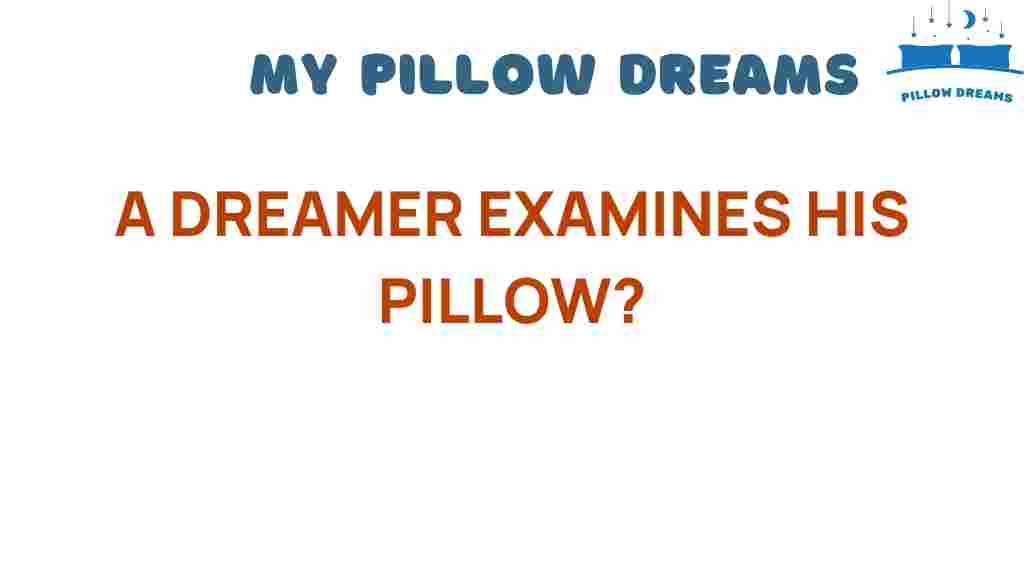 dreamer-examines-his-pillow