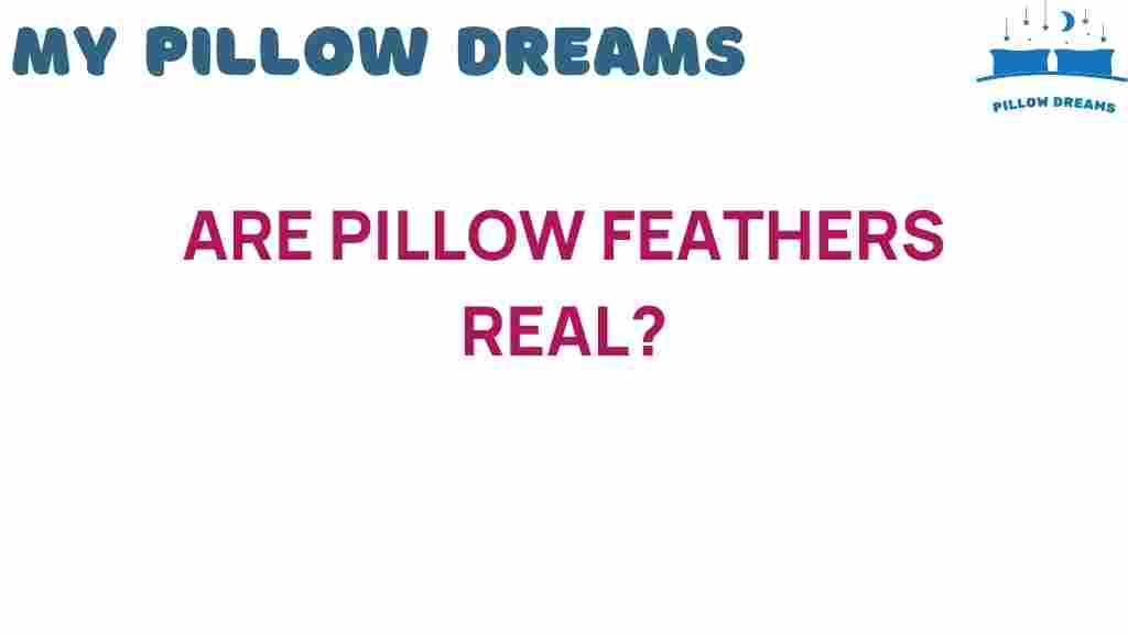 are-pillow-feathers-real