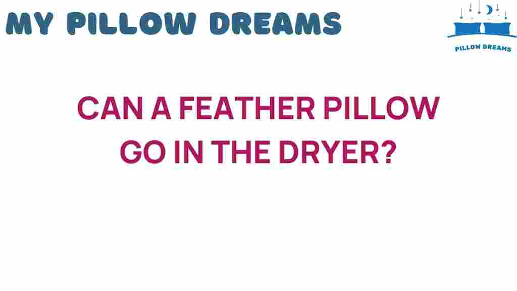 can-a-feather-pillow-go-in-the-dryer