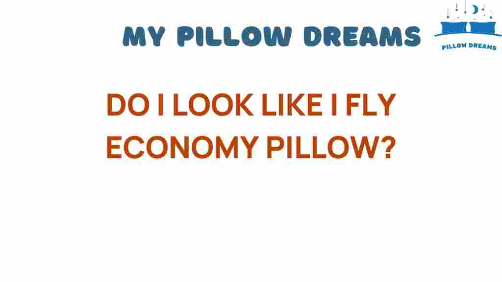 do-i-look-like-i-fly-economy