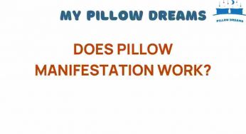 Does Pillow Manifestation Work? Unveiling the Secrets of Sleep Magic