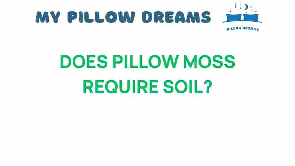does-pillow-moss-need-soil