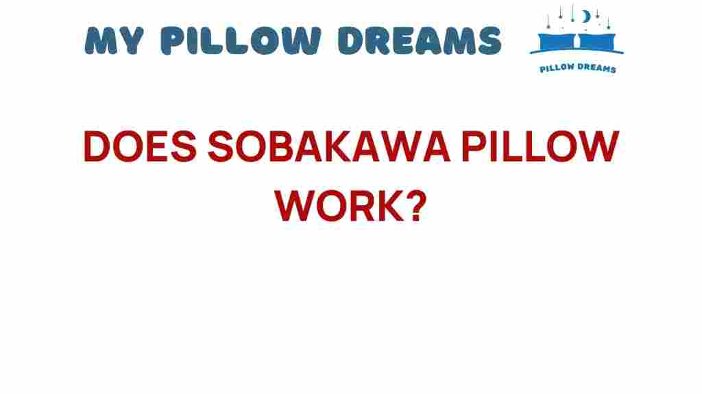 does-sobakawa-pillow-work