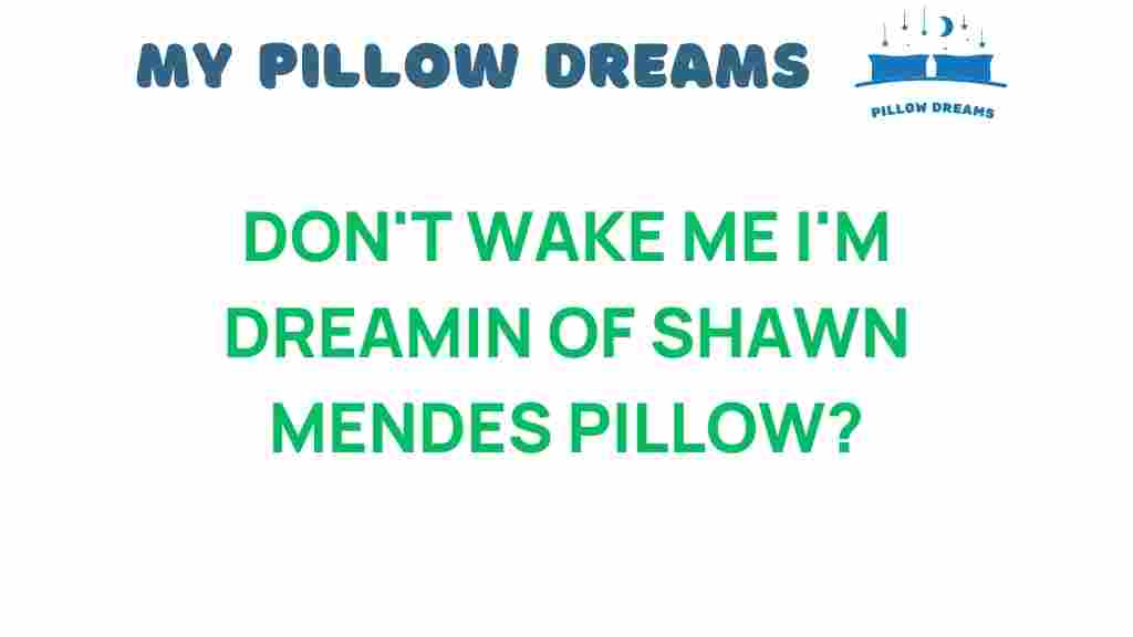 dreaming-of-shawn-mendes-pillow