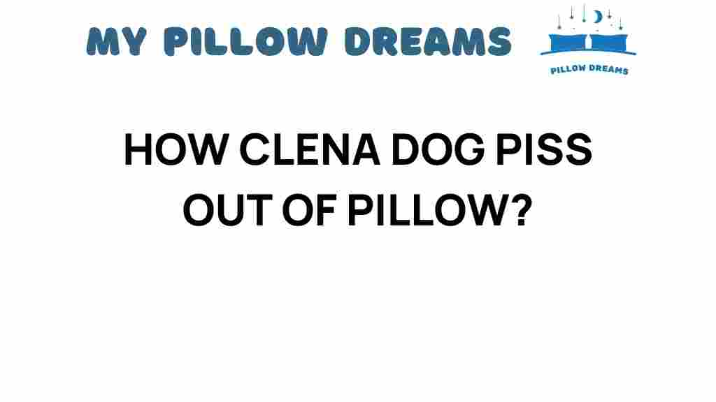 clean-dog-urine-pillow
