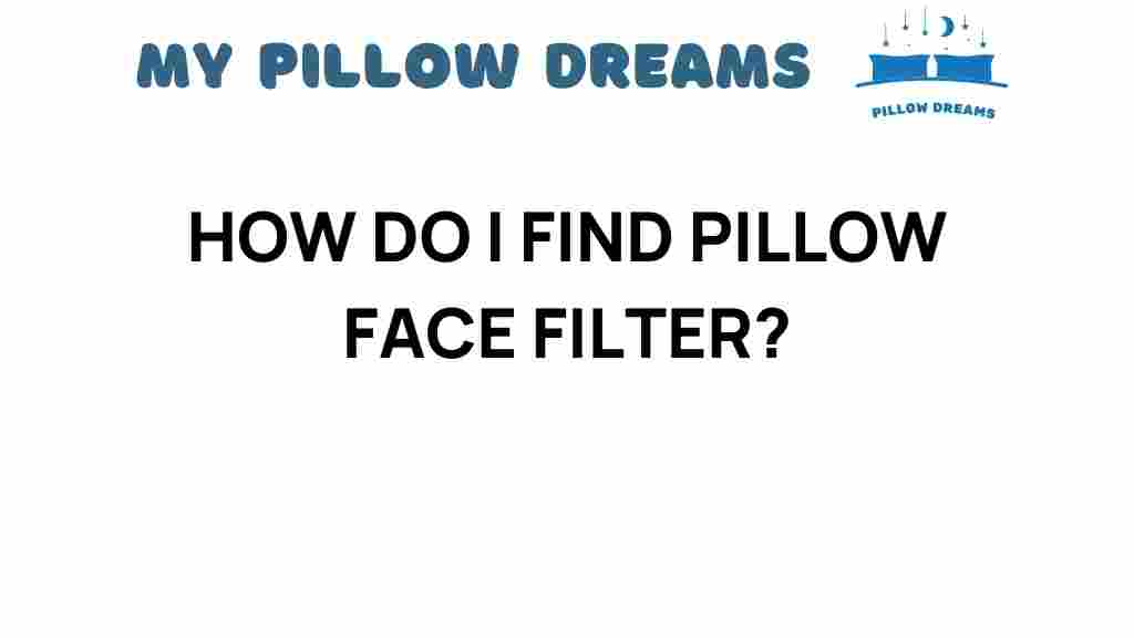 find-pillow-face-filter