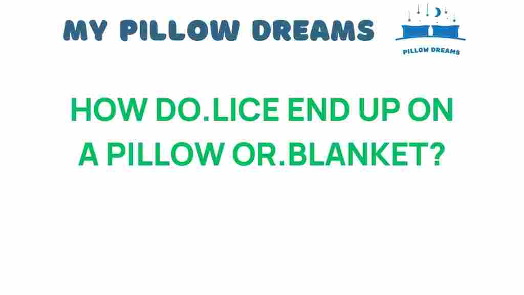 how-do-lice-end-up-on-a-pillow-or-blanket