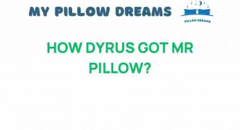 The Fascinating Journey: How Dyrus Came to Own Mr. Pillow