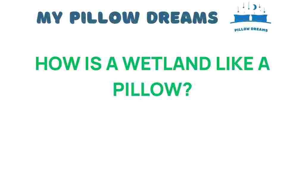 how-is-a-wetland-like-a-pillow