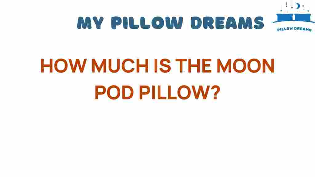 how-much-is-the-moon-pod-pillow