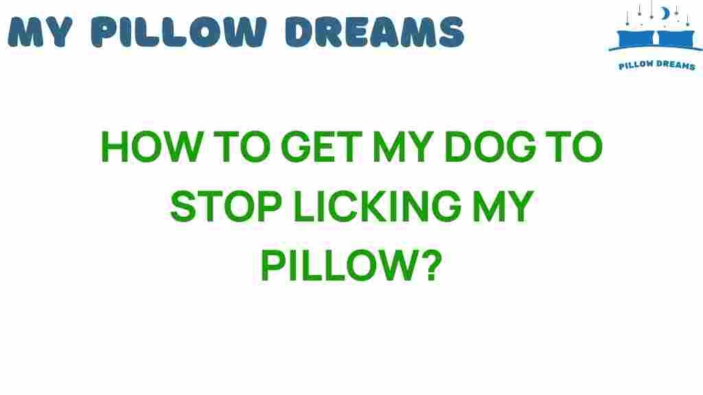 how-to-get-my-dog-to-stop-licking-my-pillow