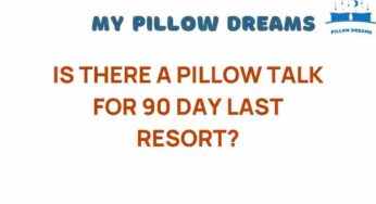 Is There a Pillow Talk for 90 Day Last Resort? Secrets Revealed!