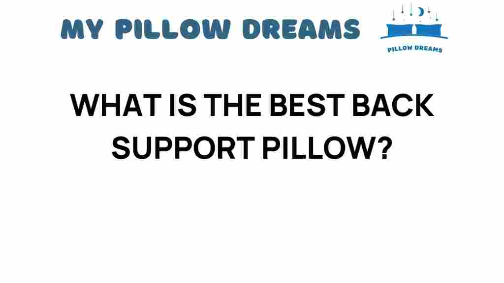 best-back-support-pillow