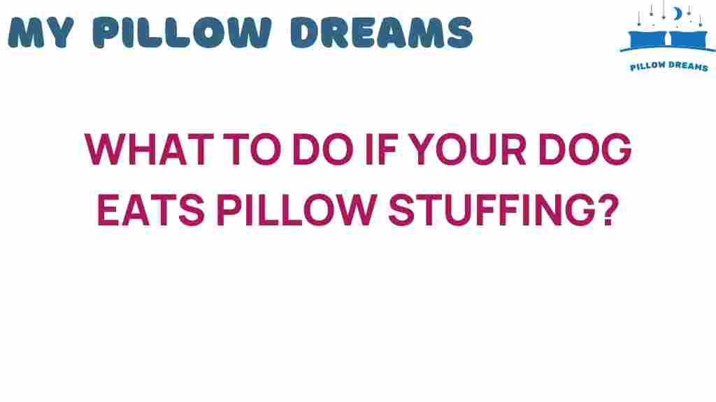 what-to-do-if-your-dog-eats-pillow-stuffing