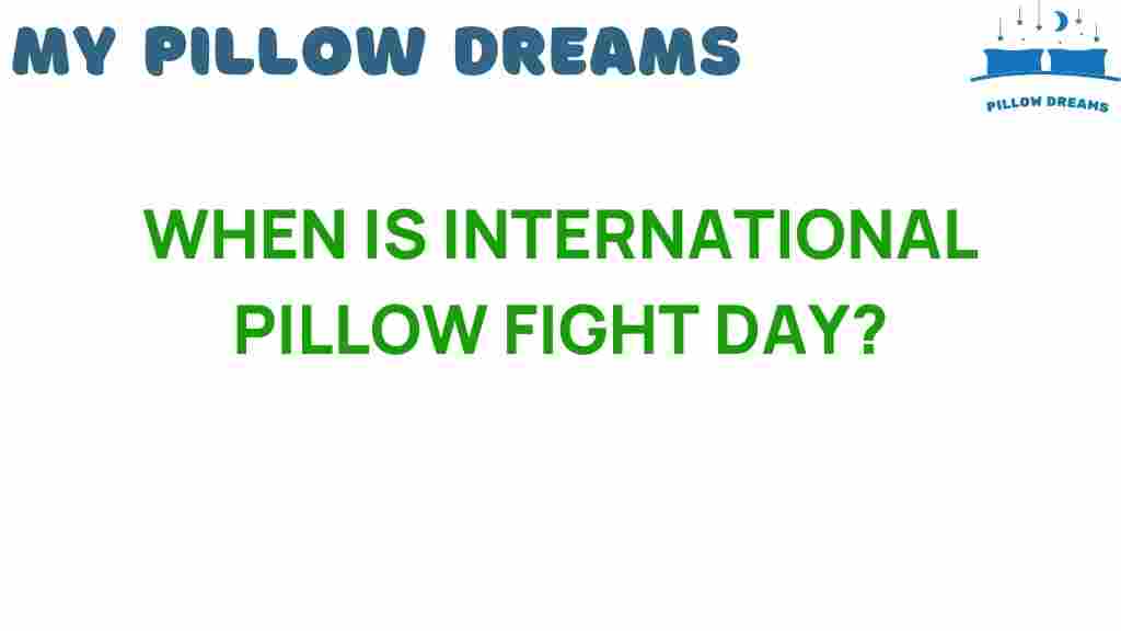 international-pillow-fight-day