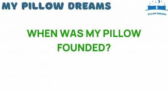 The Surprising Origins of My Pillow: When Was It Founded?
