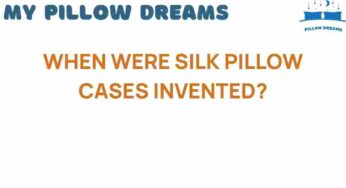 The Fascinating History of Silk Pillow Cases: When Were They Born?