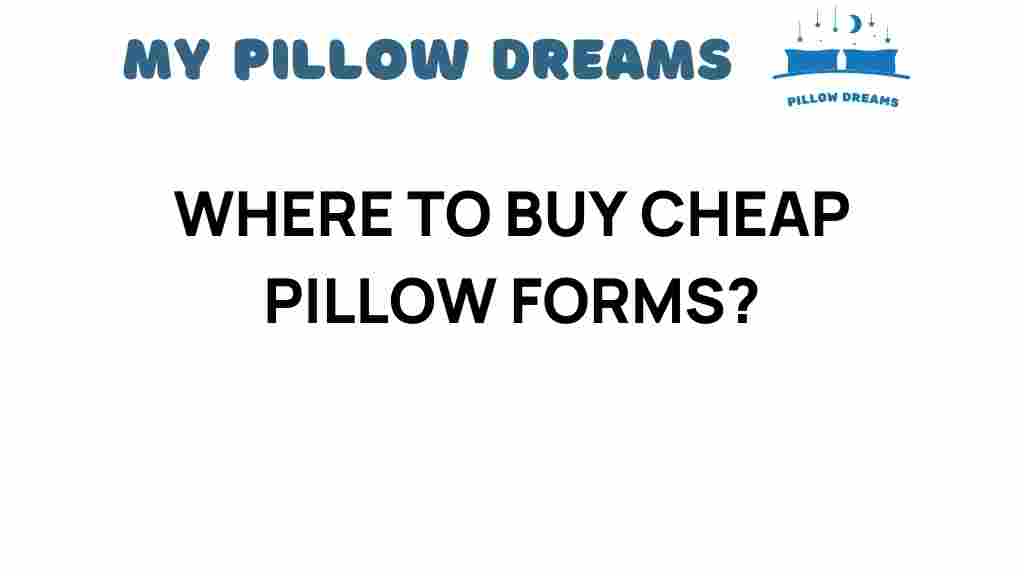 where-to-buy-cheap-pillow-forms