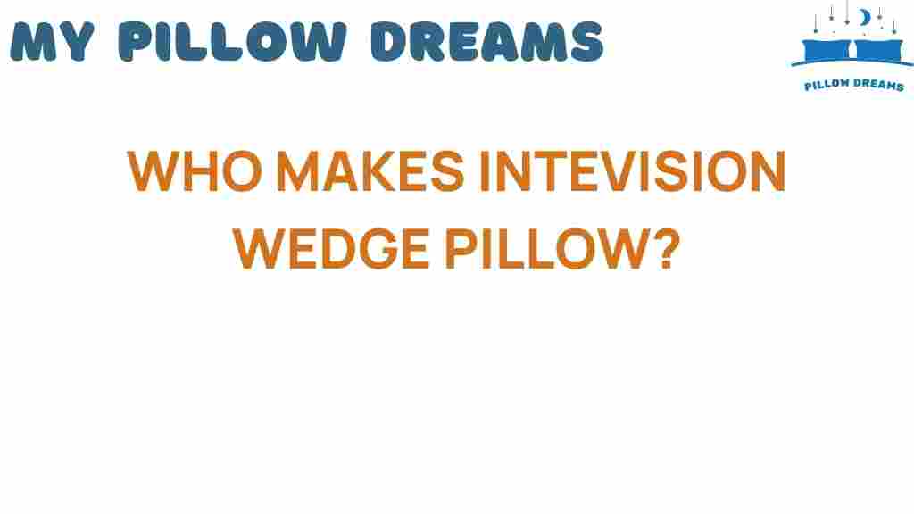 discovering-the-creators-behind-the-intevision-wedge-pillow