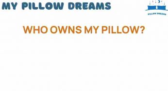 Who Owns My Pillow? The Controversy Behind the Brand’s Rise