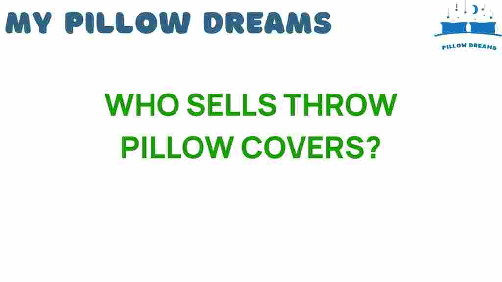 who-sells-throw-pillow-covers