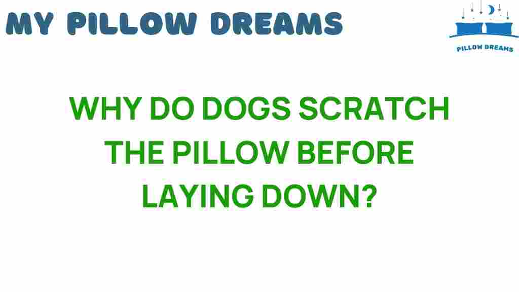 why-do-dogs-scratch-the-pillow