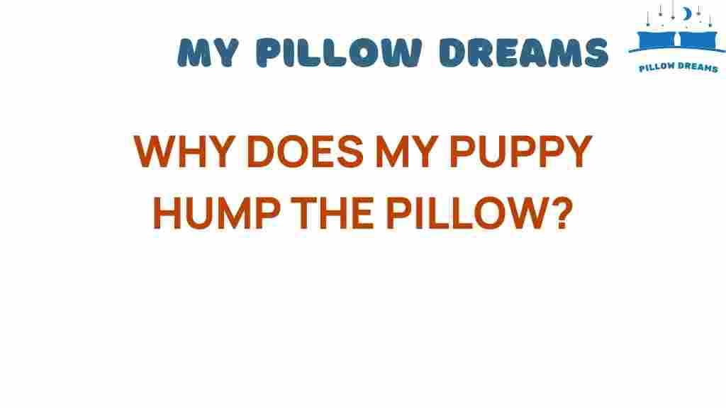 why-does-my-puppy-hump-the-pillow