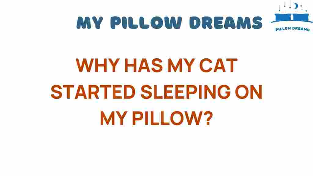 why-has-my-cat-started-sleeping-on-my-pillow