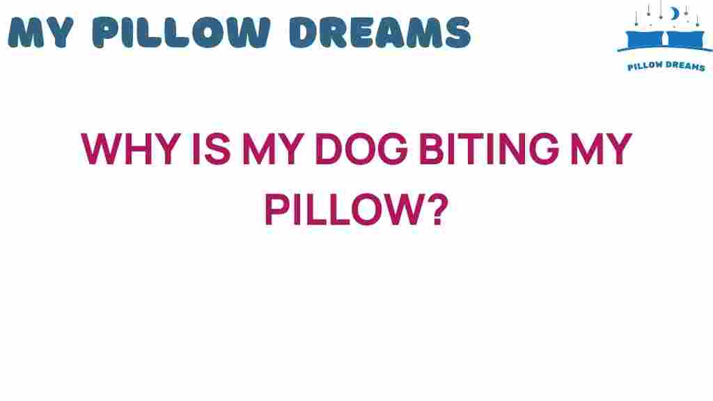 why-is-my-dog-biting-my-pillow