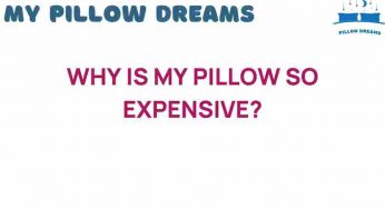 Why Is My Pillow So Expensive? Unraveling the Costs Behind Comfort